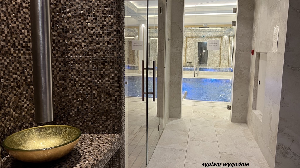 Hotel Saski Krakow, Curio Collection by Hilton - sauna, SPA
