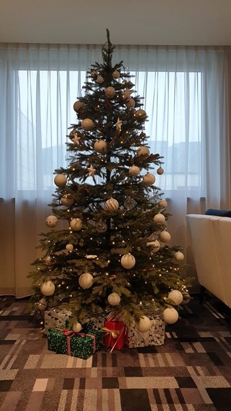 Święta Bożego Narodzenia w Krakowie w hotelu DoubleTree by Hilton Kraków
